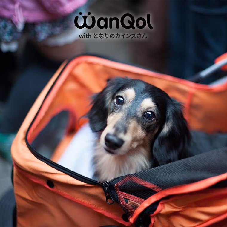 ペット用カート 3輪 迷彩柄(販売終了) | ペット用品（犬） 通販