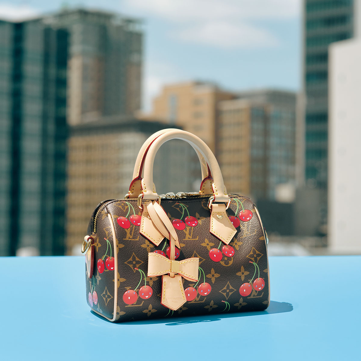 Katori Shima正規品ルイヴィトン バッグ保存袋 17枚セット LOUIS