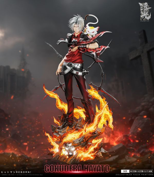 REBORN CCG BOX購入特典 セパレーター 仕切り 獄寺隼人 瓜 REBORN CCG