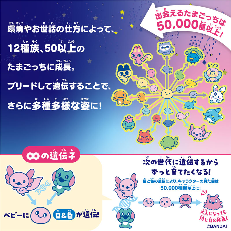 AmiAmi [Character & Hobby Shop] | Tamagotchi Tamagotchi Paradise