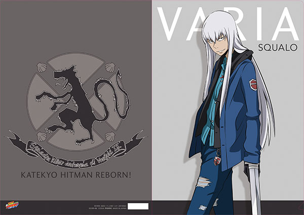 REBORN 沢田綱吉 リボーン xanxus スクアーロ クリアファイル