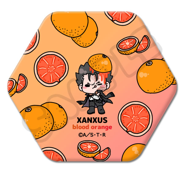 TVアニメ『家庭教師ヒットマンREBORN！』第3弾 六角形缶バッジ M-YJ