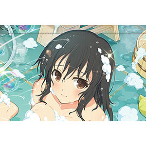 シノビマスター 閃乱カグラ NEW LINK B2タペストリー 斑鳩(セクシー