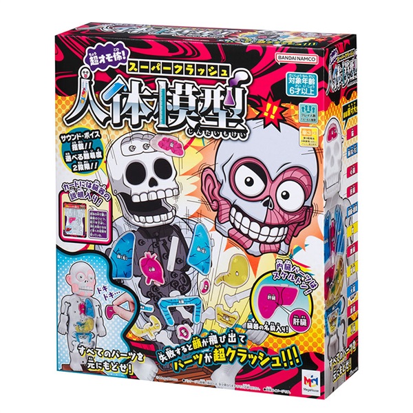 ゲーム スーパークラッシュ人体模型 4975430518288 | イオンスタイル