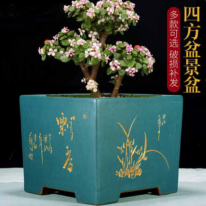 四角多肉植物鉢 紫砂鉢 盆栽鉢 植木鉢 小品盆栽鉢 大品盆栽鉢 多肉植物
