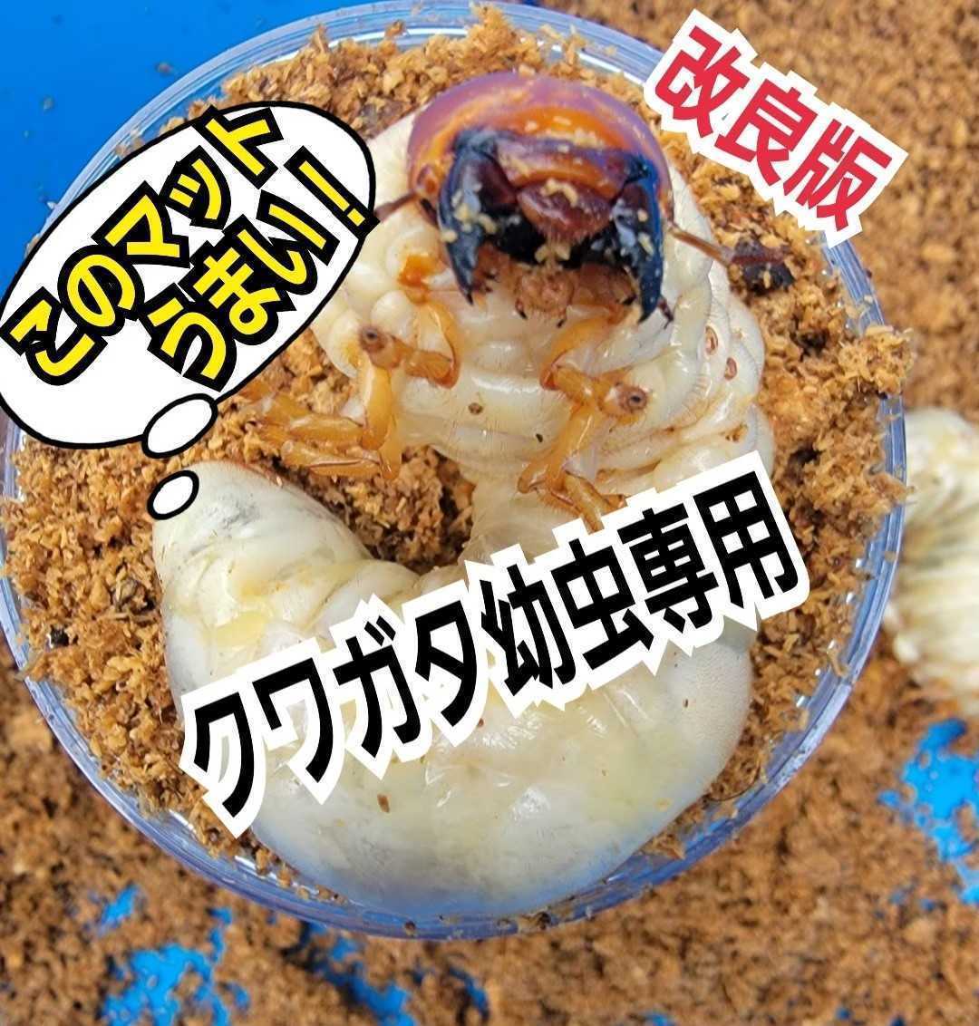 ニジイロクワガタにお薦め！極上！黒アワビタケ菌糸瓶【8本