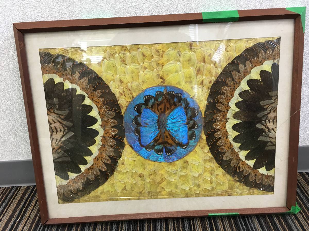 蝶絵画蝶の羽羽根細工バタフライアート