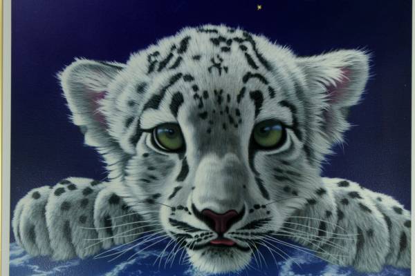 シムシメール マイワールド