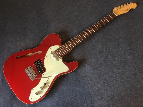 FUJIGEN フジゲン テレキャスター シンライン Neo Classic 動作確認