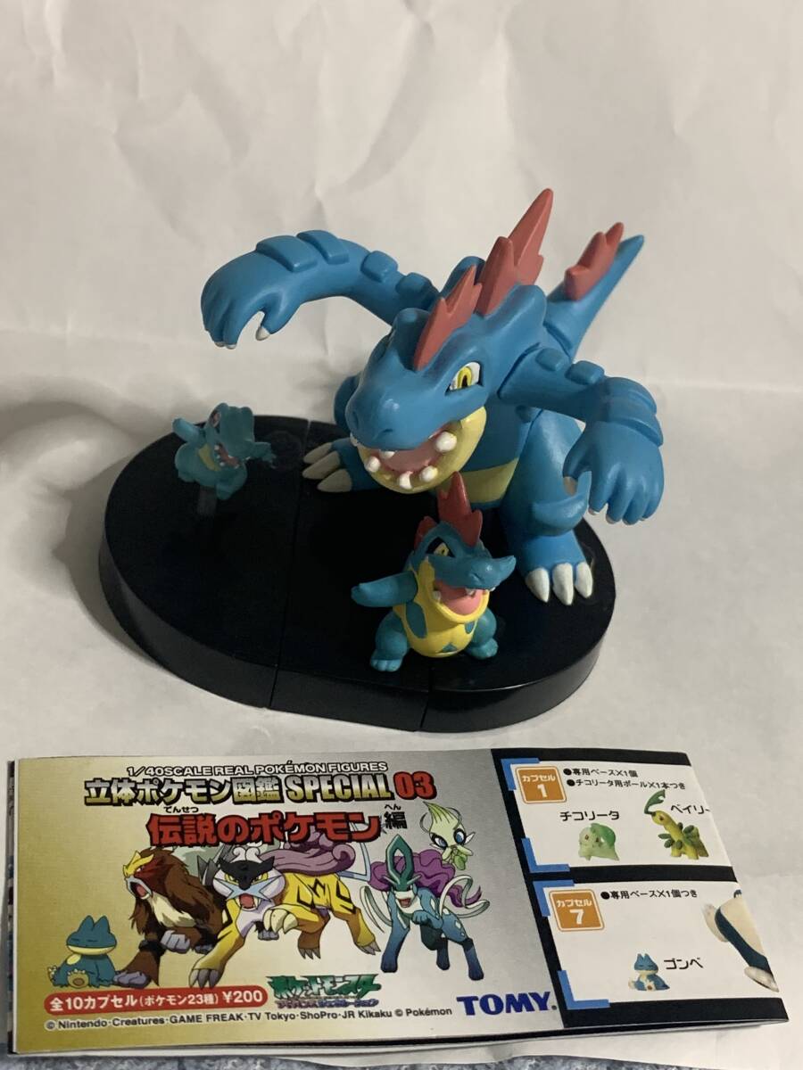 ポケモン フィギュア 立体ポケモン図鑑 メガニウム バクフーン