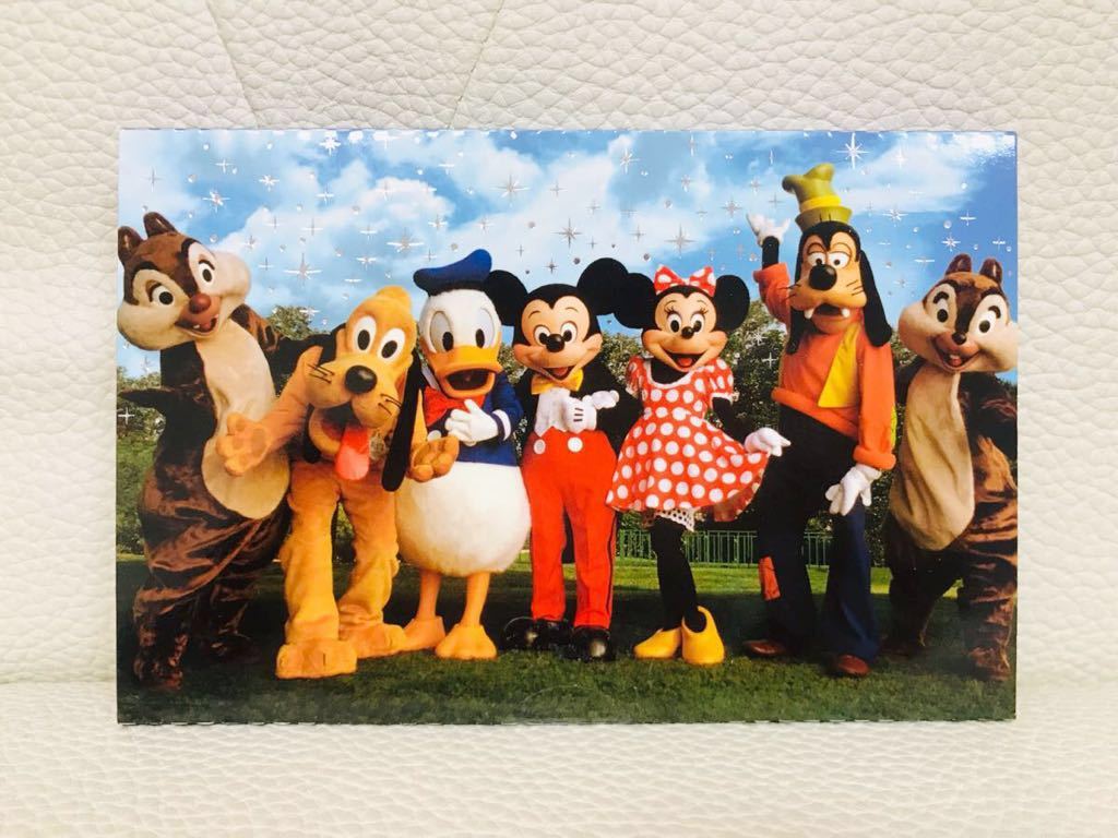 3422昔の海外ディズニーワールドピンクリスマススペクタクル チップと