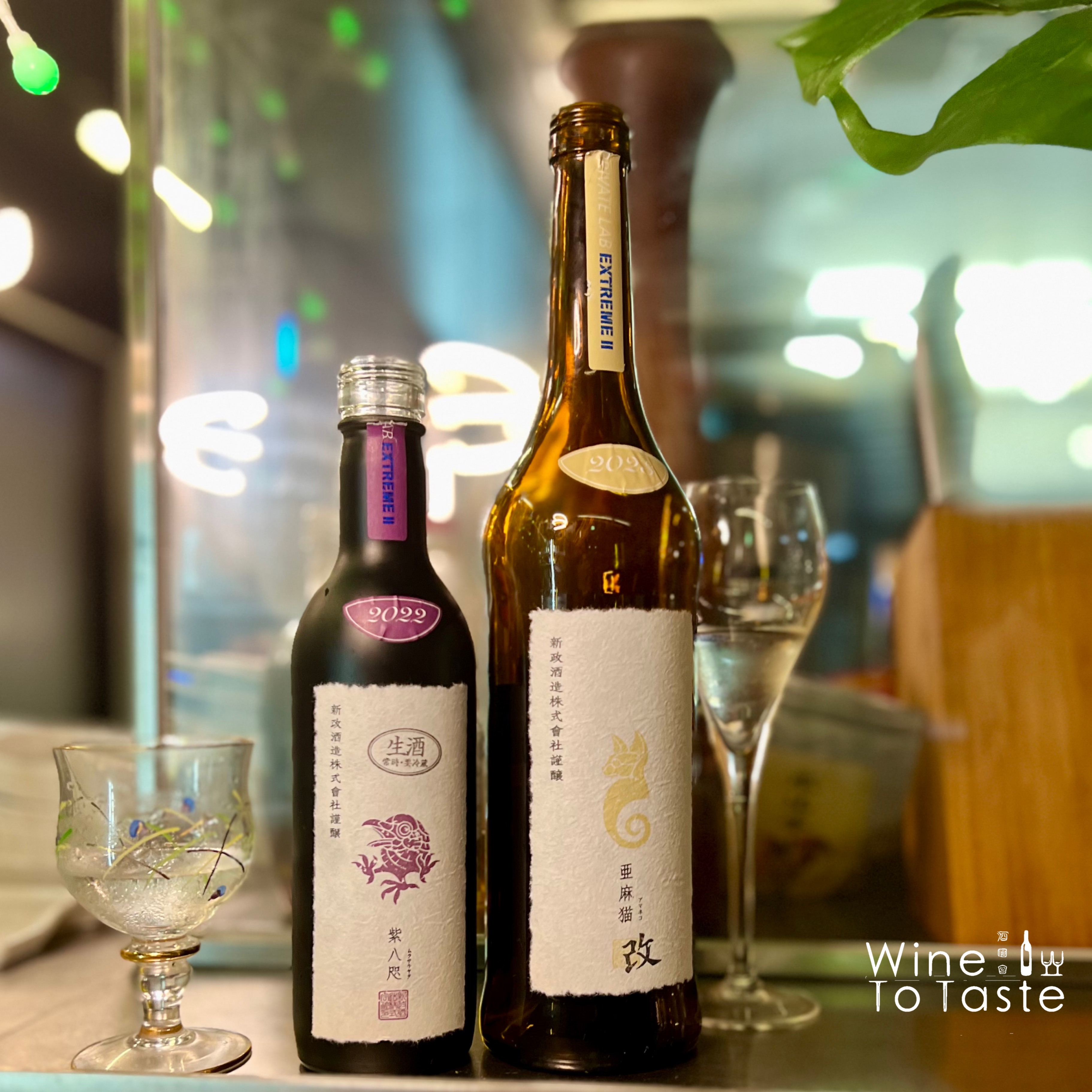 新政 アッシュ 2023 【公式通販】