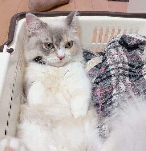 resized_7413567e-0163-4c26-