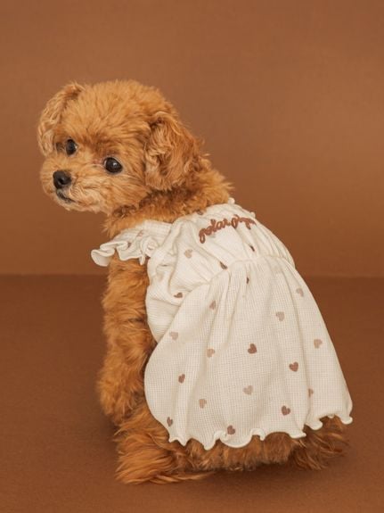 公式】gelato pique CAT & DOG（ジェラート ピケ キャット&ドッグ