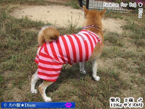 犬服 スポーティロンパース ( 小型犬用 ) パンツ ズボン ツナギ