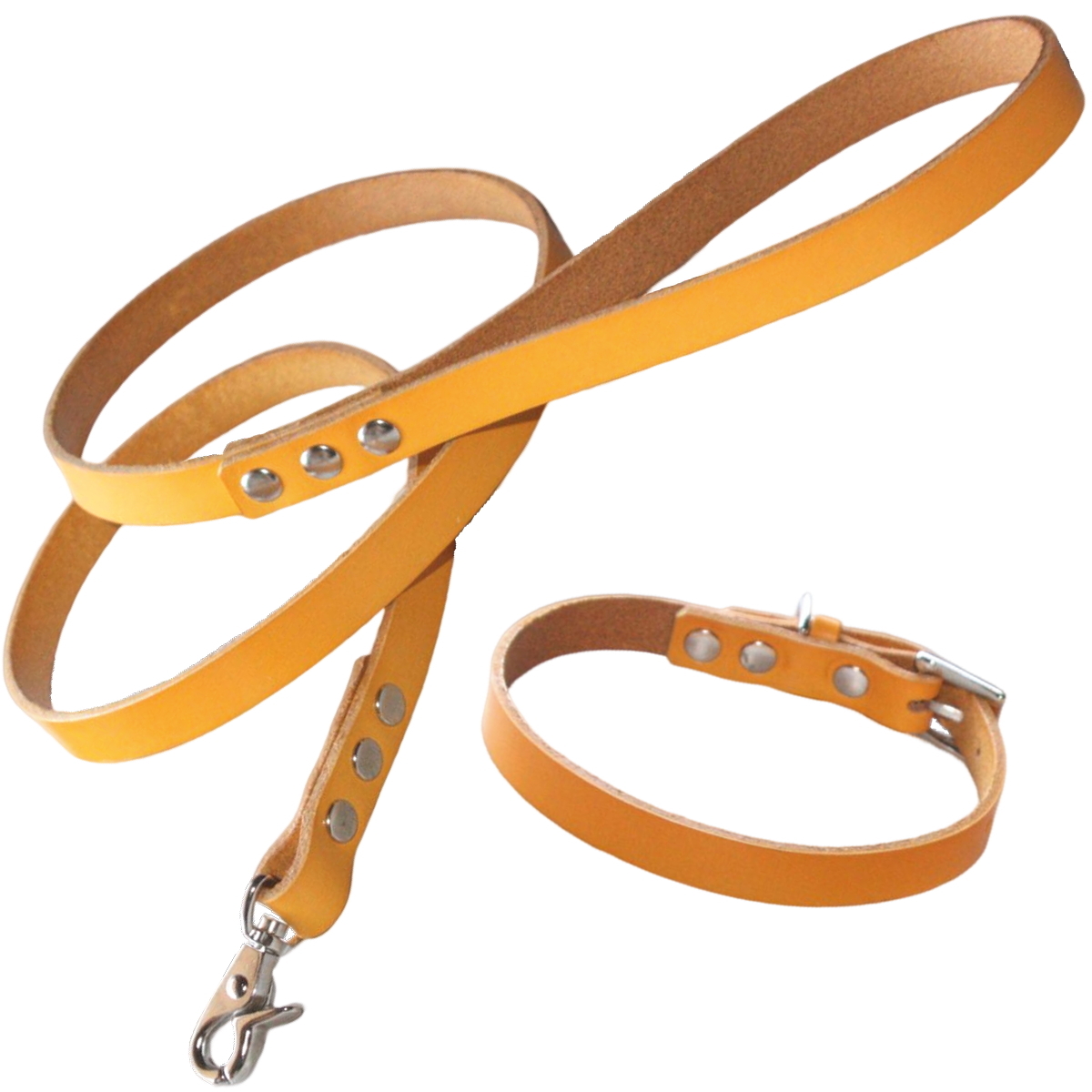 犬 首輪 リード セット 革 名入れ ネーム入り 本革 カラフル 首輪