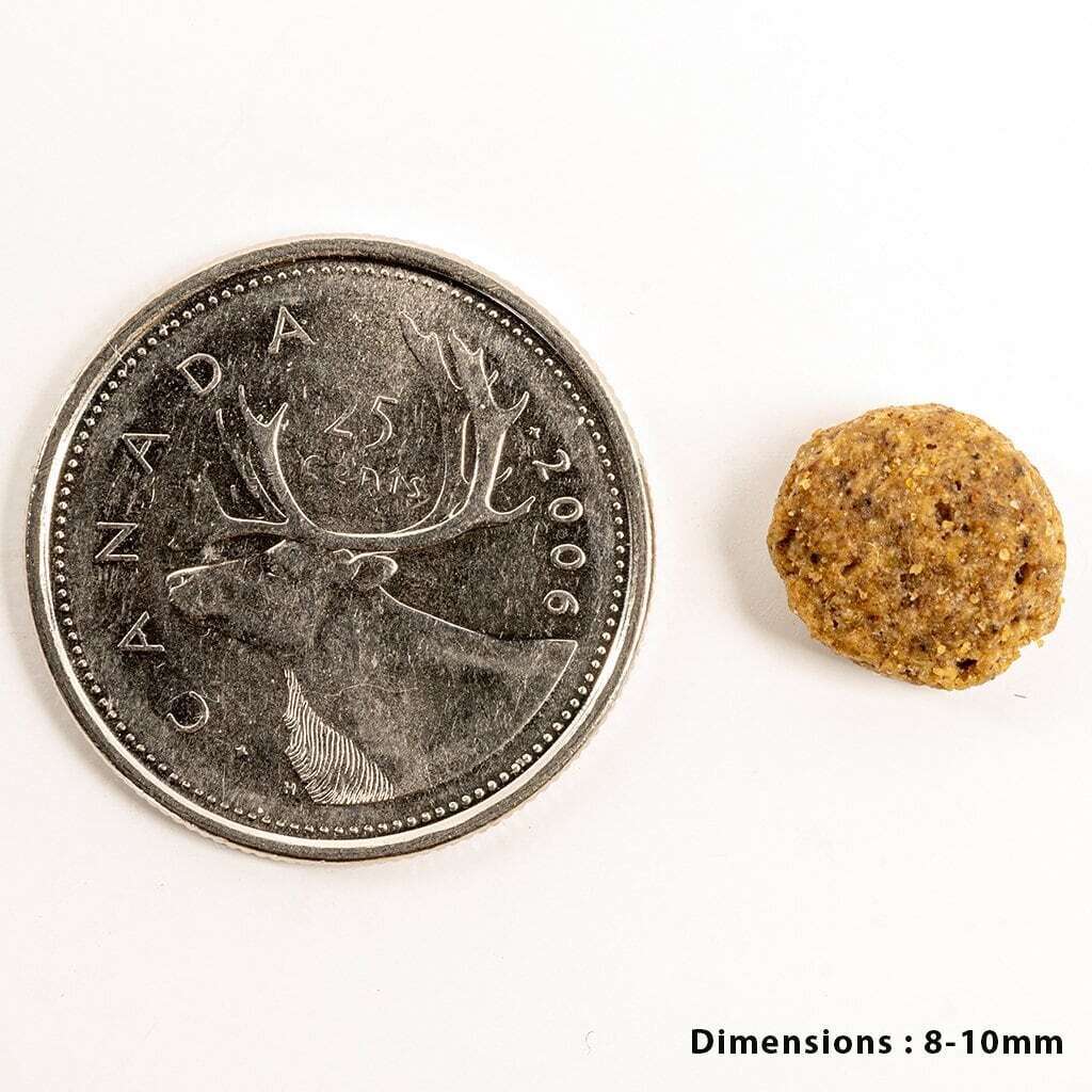 ペットカインド ラム ウェイトマネジメント 小粒 6.35kg 鳥原料不使用