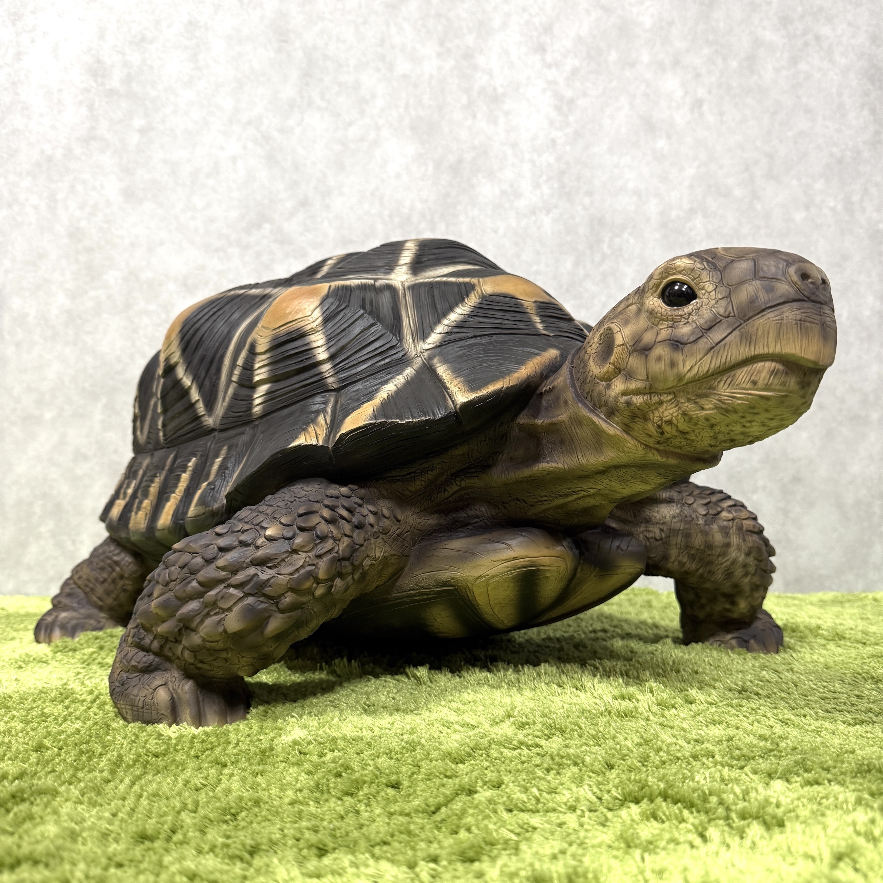 置物 ホシガメ 特大 亀グッズ 体長68cm woobia ウービア 大きい