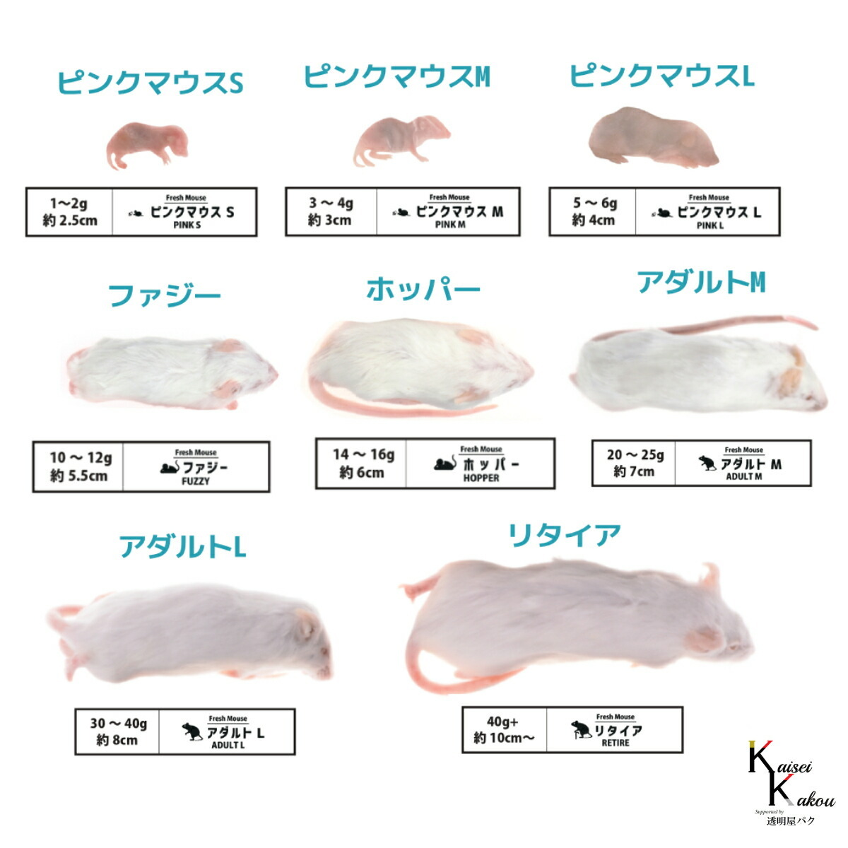 国産冷凍マウス 国産冷凍マウス ファジー20匹 ファジーM 20匹 SAfarm