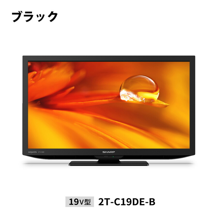 ASTEX 24インチ地上デジタル ハイビジョン液晶テレビ 新品 DVD