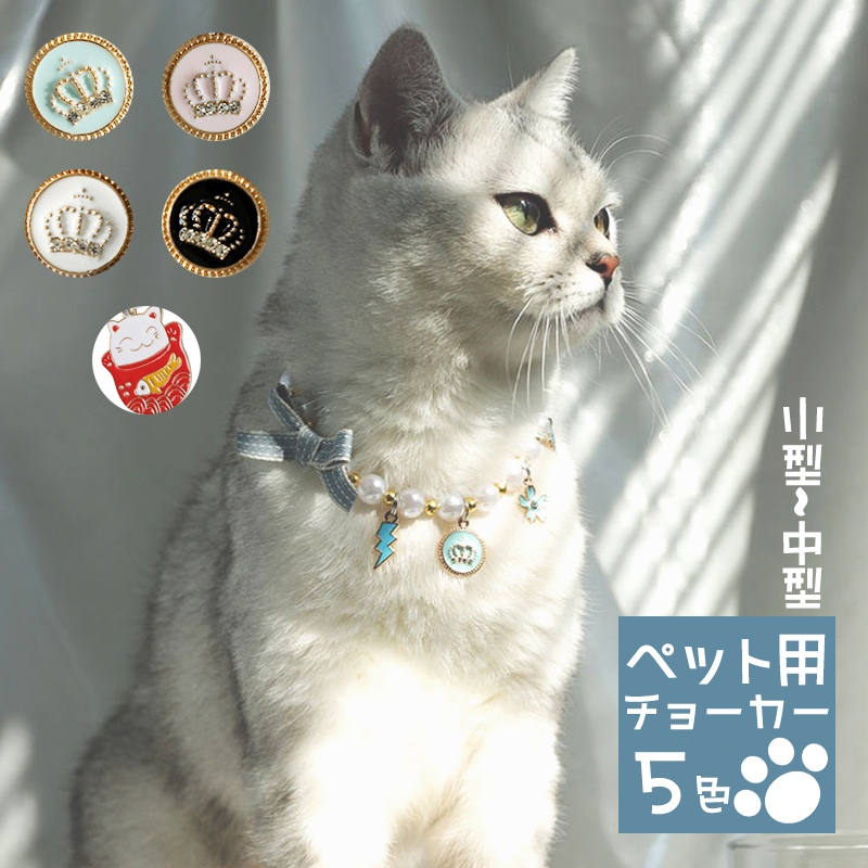 短毛ちゃんにも♥️中世ヨーロッパ風チョーカー(⑤)わんちゃん猫ちゃん