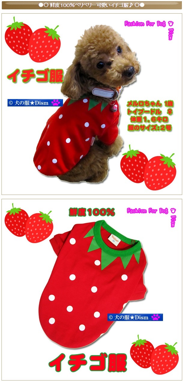 犬服 3S わんこの普段着 レトロな小鳥 赤 犬服 3S わんこの普段着