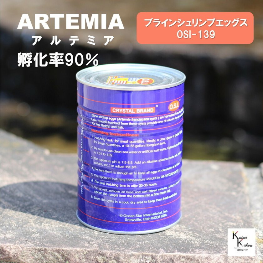 ブラインシュリンプ ユタ産 1缶」 ブラインシュリンプ エッグ 454g