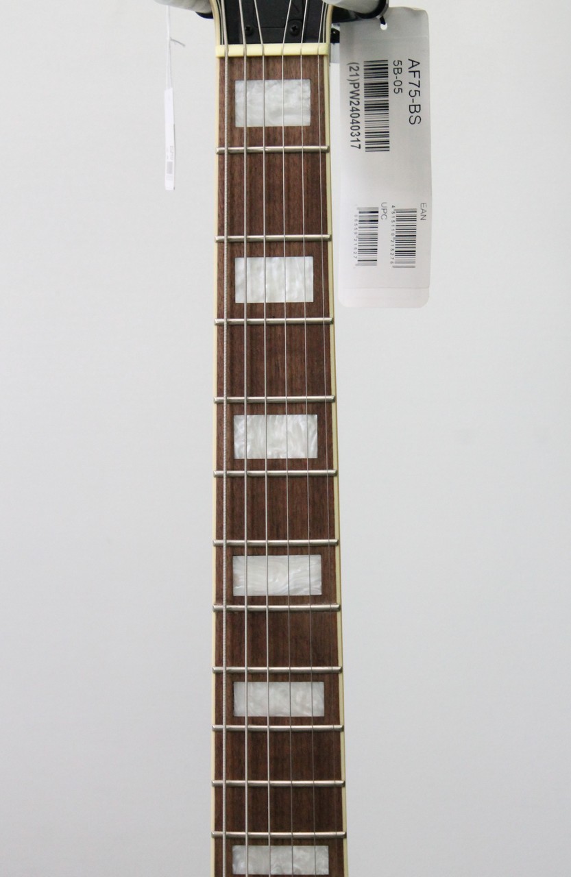 Ibanez AF75 / Brown Sunburst（新品/送料無料）【楽器検索デジマート】