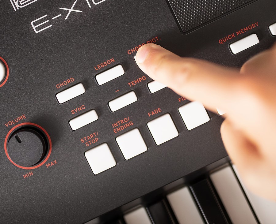 Roland E-X10 《61鍵キーボード》【Webショップ限定】（新品）【楽器