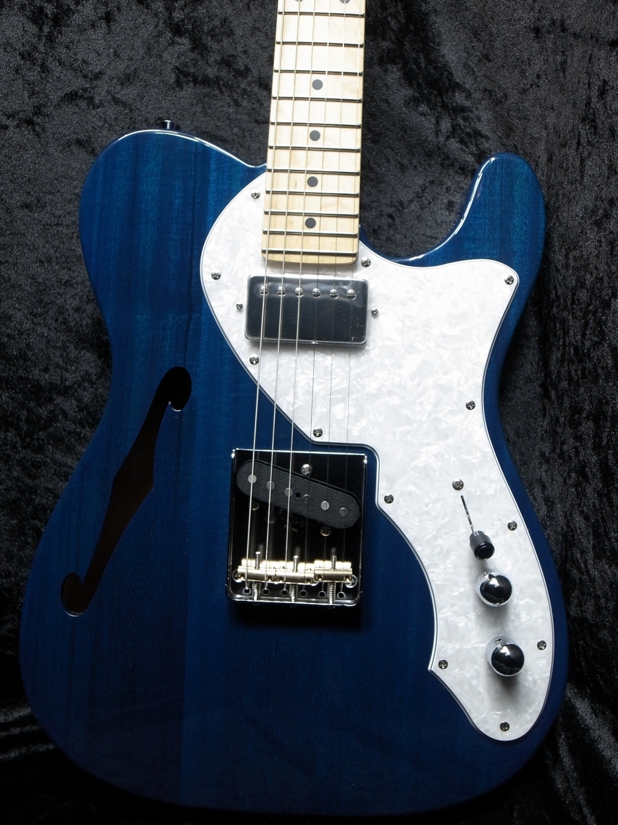 FUJIGEN(FGN) NTE110MMHT TBL【シンライン】（新品）【楽器検索