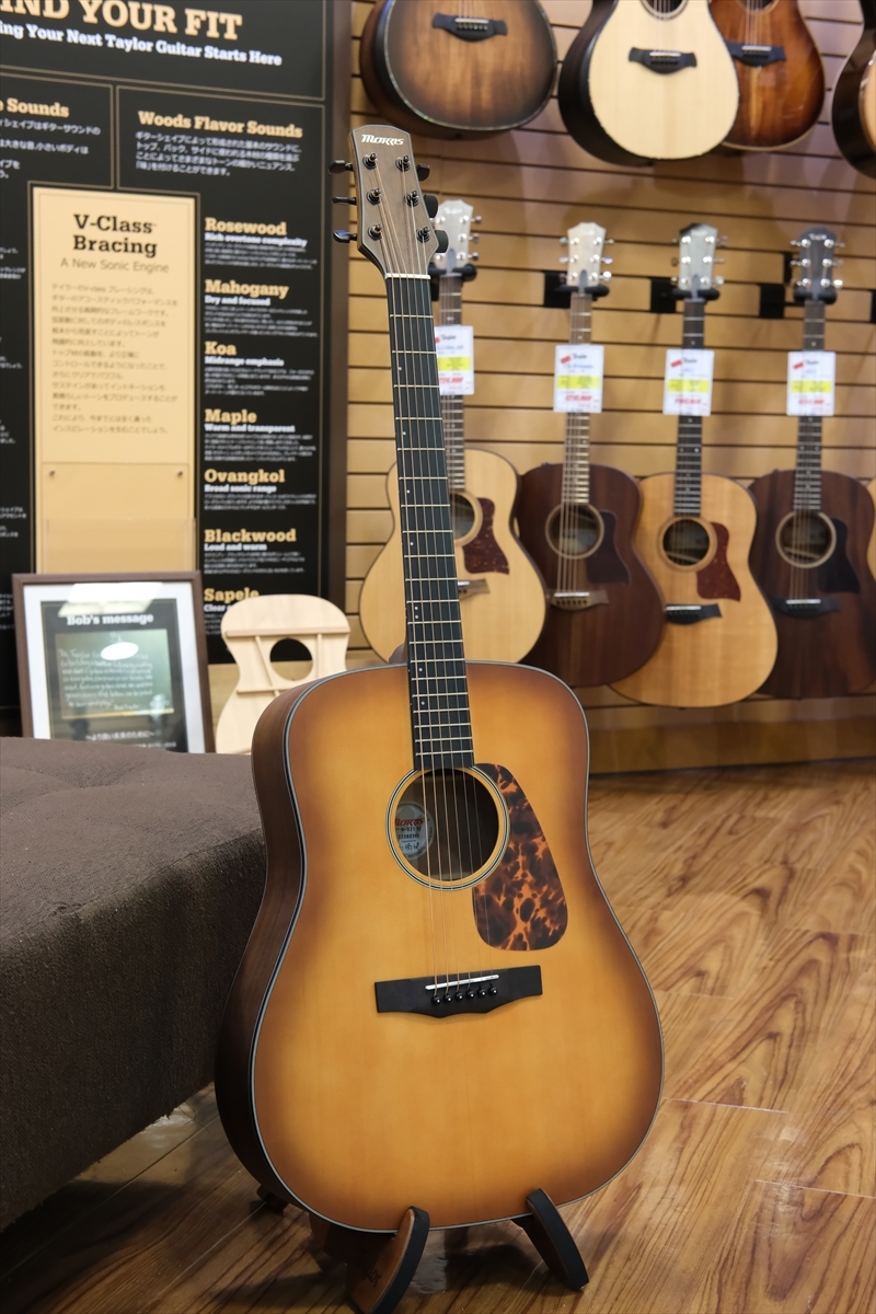 Morris M-021 / VS（新品/送料無料）【楽器検索デジマート】