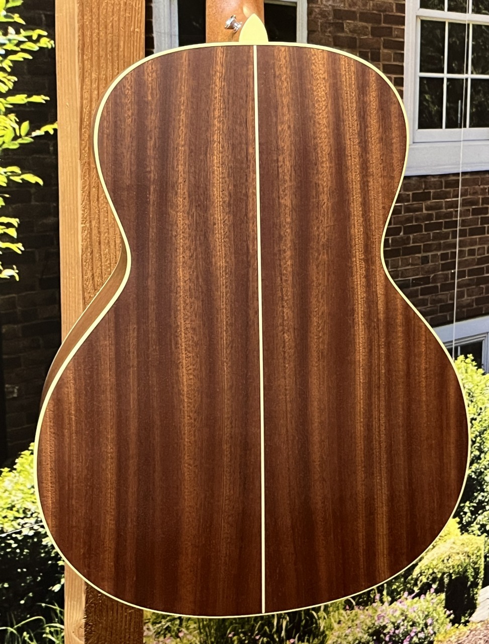 Vincent VN-30Blues HC付 Fishman後付け image.jpg