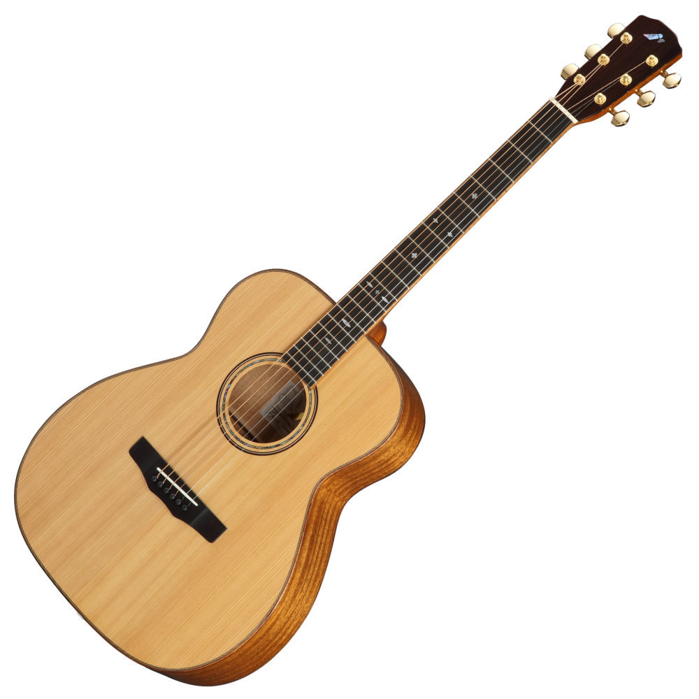 Morris モーリス F-92.LC JapanForest series アコースティックギター
