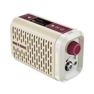 CAJ カスタムオーディオジャパン TUBE TOP ギター真空管ヘッドアンプ