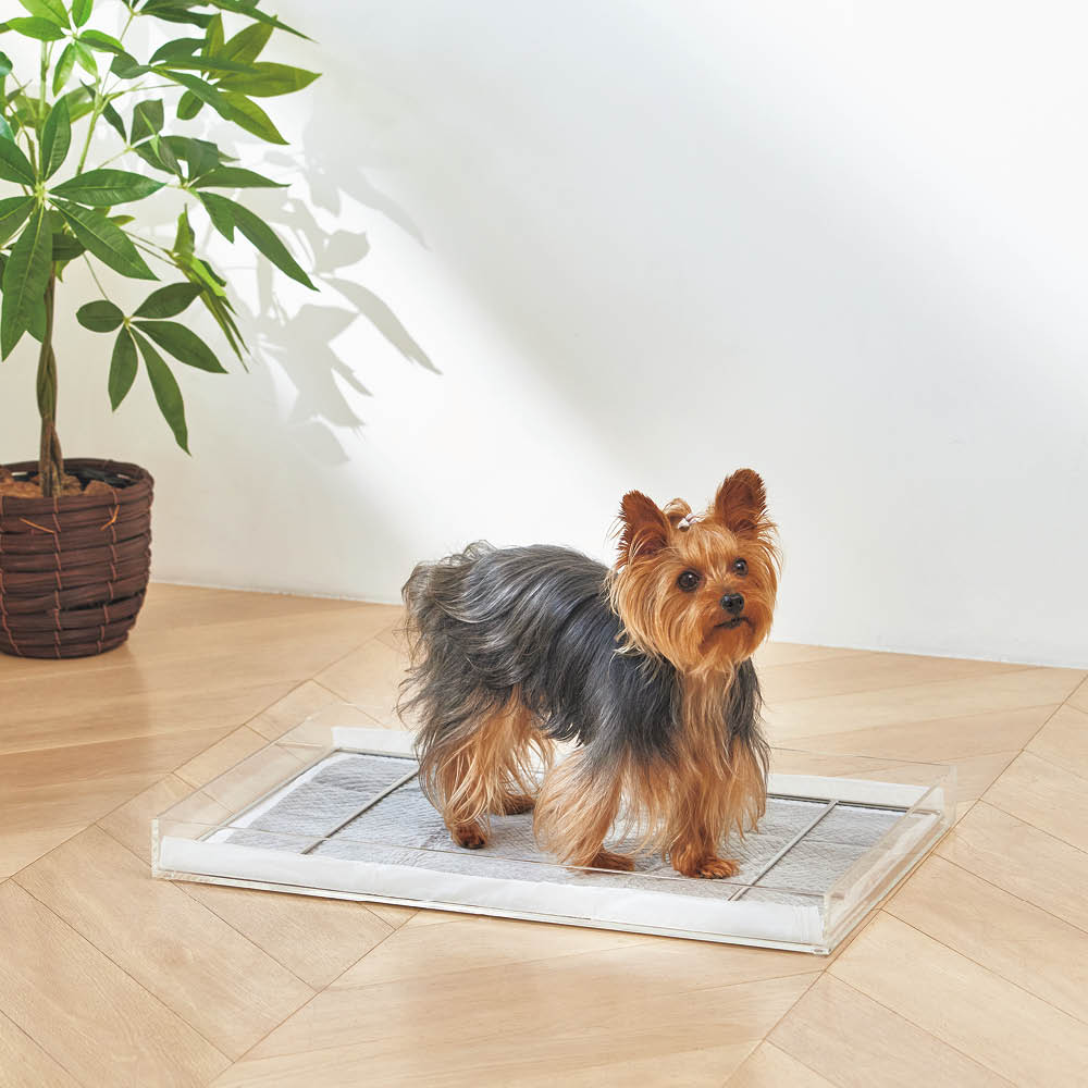 アクリルペットトイレトレー 通販 - ディノス