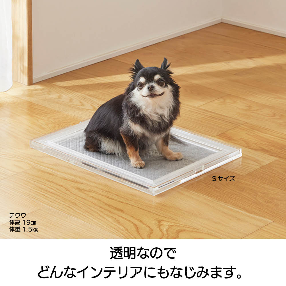アクリル ペットトイレ シートトレー Sサイズ 通販 - ディノス