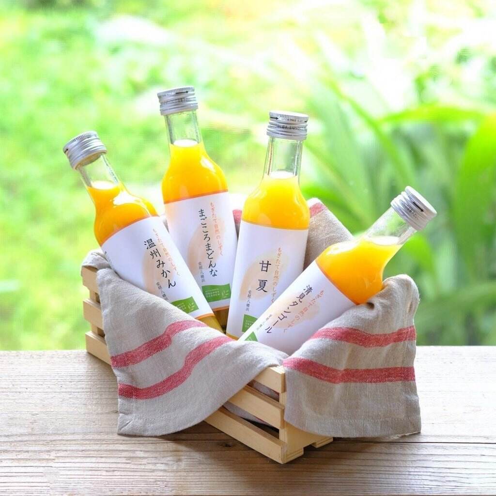 3箱セット 飲むみかん ジュース 614.【早和果樹園】飲むみかん30本入