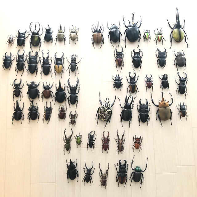 ディアゴスティーニ 世界の昆虫53体