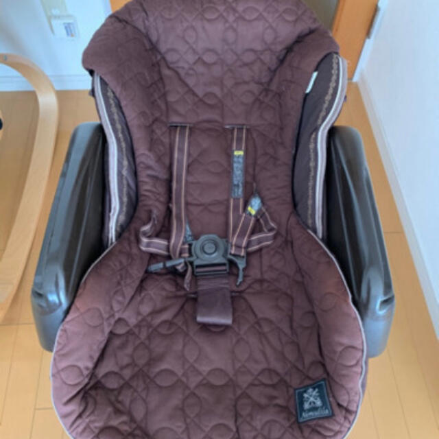 パンダドラゴン 日本武道館 2026 ぱっち グッズ 4点セット ショップ