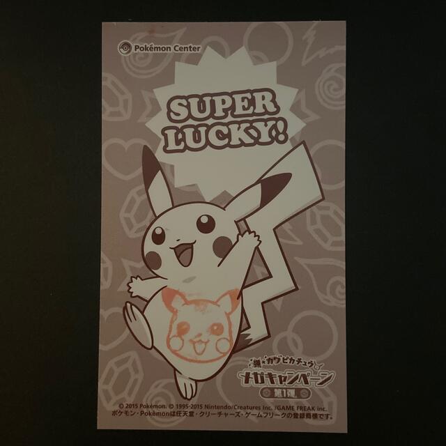 ポンチョピカチュウ 名刺カード カードケース カードファイル