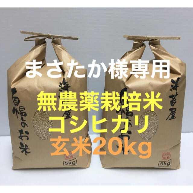昆虫標本 巨大種 オウサマナンバンダイコクコガネ 大型ペア65×61