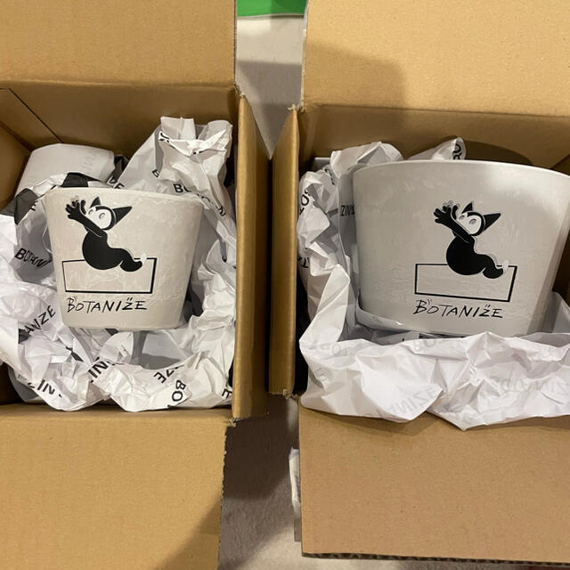 小2個セット BOTANIZE lotta ayano nakano 鉢 小2個セット BOTANIZE