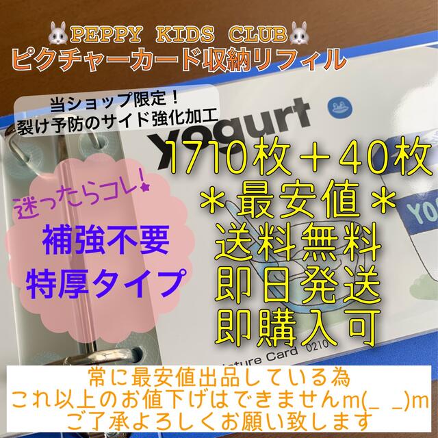 ◎最安値！ ペッピーキッズ ピクチャーカード 収納袋 補強不要タイプ
