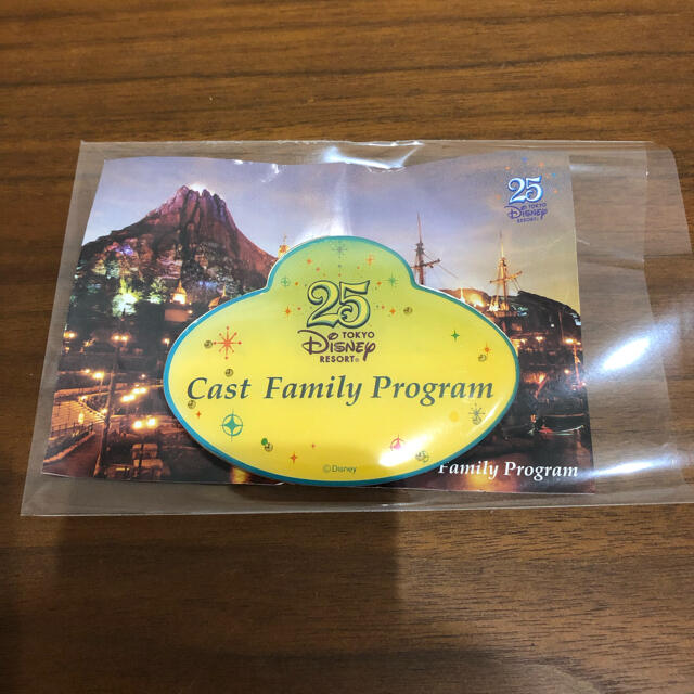 ディズニーリゾート25th キャストネームタグ ディズニーネームタグ 25