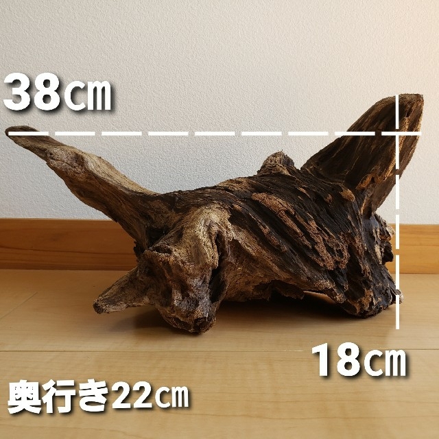 k36特大流木 アク抜き済み 爬虫類シェルター レイアウト用 登り木