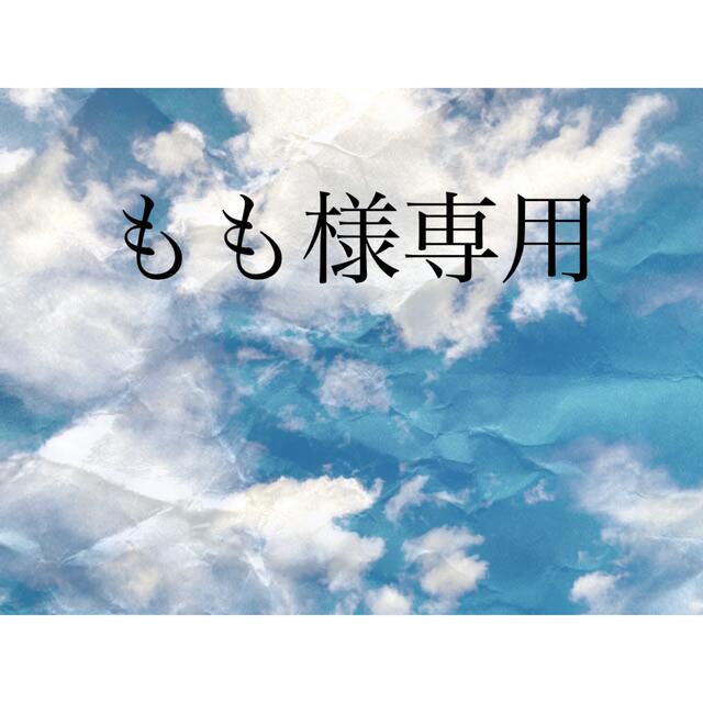 もも様専用 もも様専用 もも様専用 フォロー割｜Yahoo!