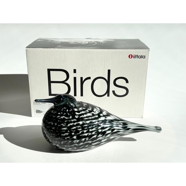 2012 アニュアルMirella ミレッラオイバトイッカイッタラバード