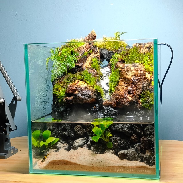 滝の流れるアクアテラリウム No.579 S115924679 - 魚用品/水草工場 直営 店