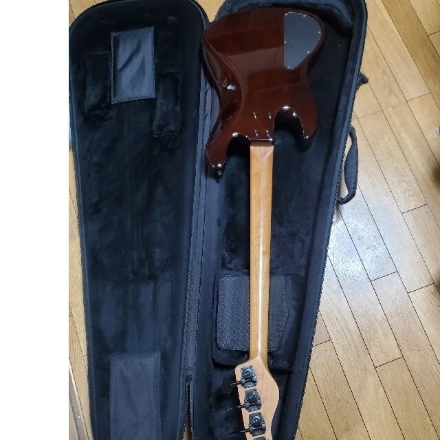 2025，定番人気 Sadowsky TYO Modern Edge 4string J Bass