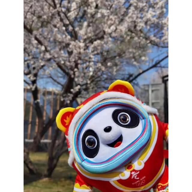 ドゥンドゥンの虎年春節限定ぬいぐるみでござい ます。 ドゥンドゥンの